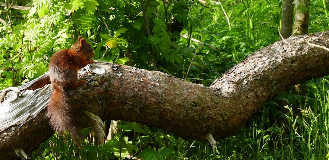 Darm-Hirn-Achse: Natürliche Wege zur Psyche-Stärkung